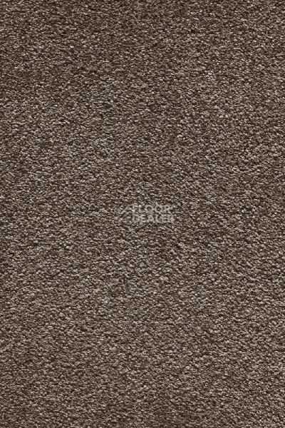 Ковролин AW Masquerade Moana 42 фото 1 | FLOORDEALER